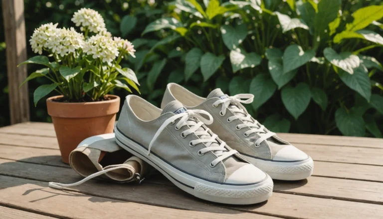 sneakers en toile